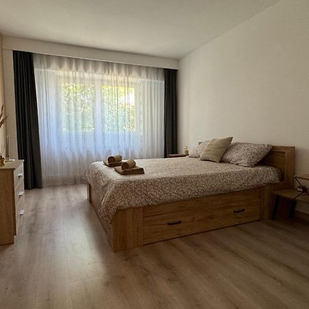 Lareina Apartament Cluj-Napoca Exterior photo